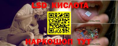 индика Партизанск