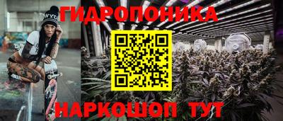 индика Партизанск