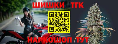 индика Партизанск