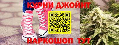 индика Партизанск