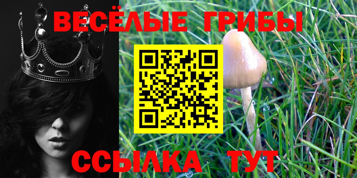 Серпухов  Псилоцибиновые грибы GOLDEN TEACHER  Вход с VPN  Псилоцибиновые грибы Cubensis 